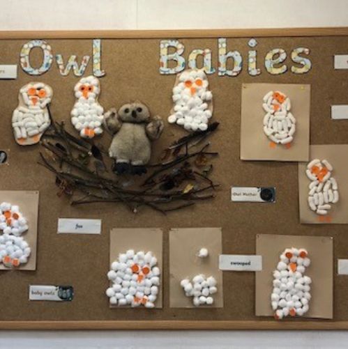 owlbabyart
