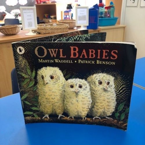 owlbabybook