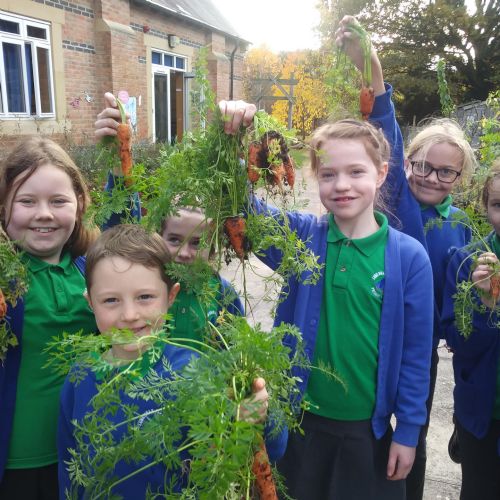 greenteam1