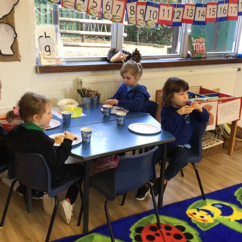 Frenchbreakfastrobins