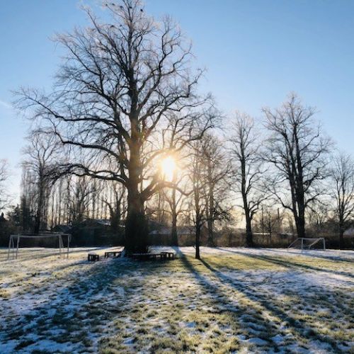 Frostyplayingfield2110221