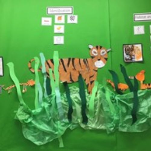 TigerworkinRobins