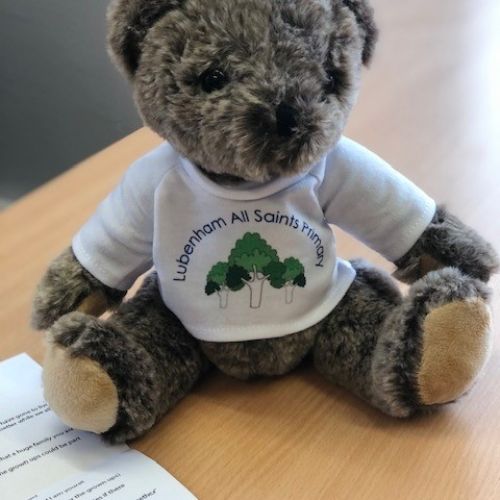 teddy1